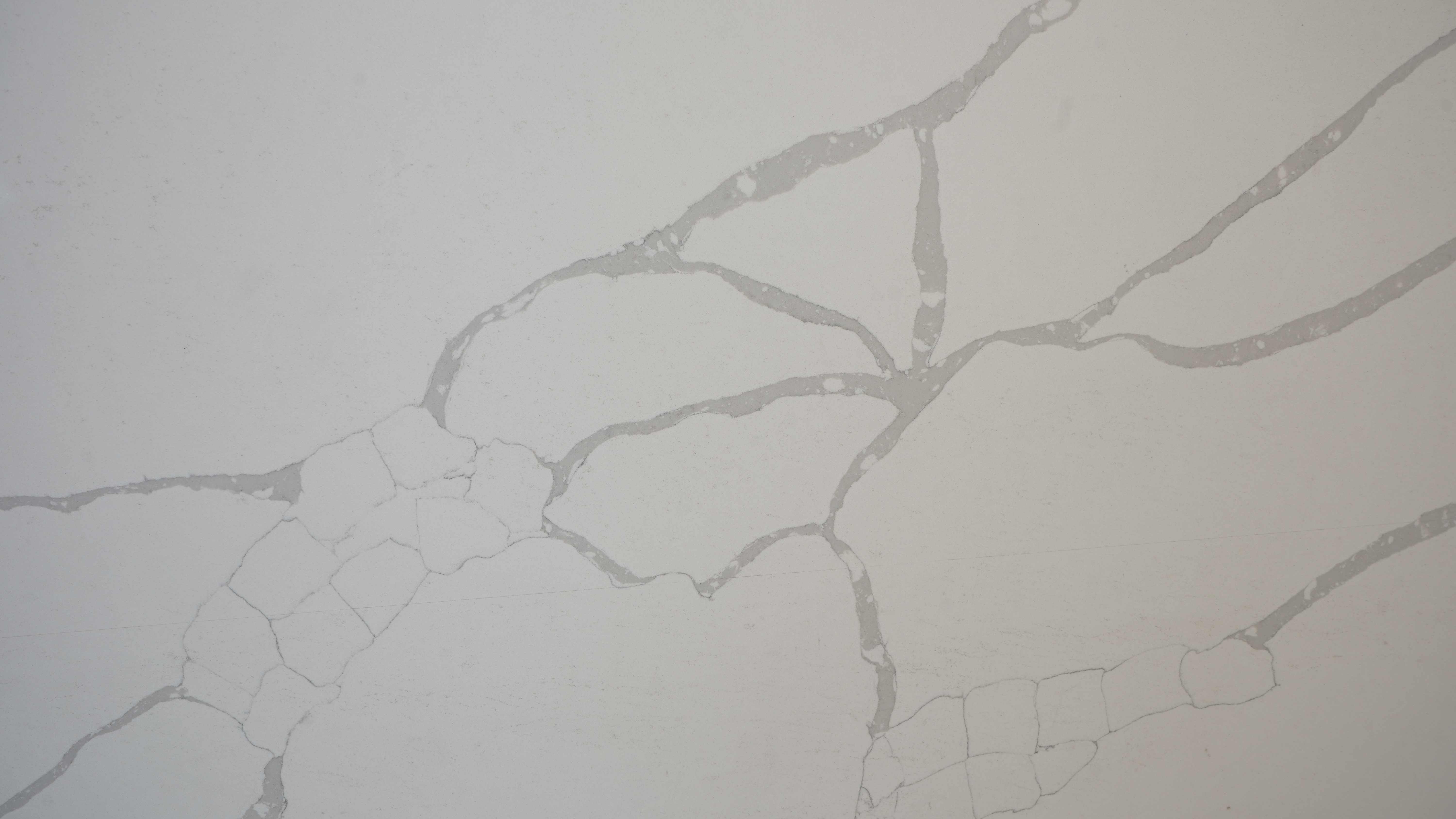 Calacatta Plazo Bold